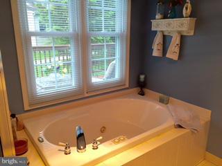 2450 Bear Den Road Frederick, MD 21701 - Photo 10 of 18 Bath (Master)