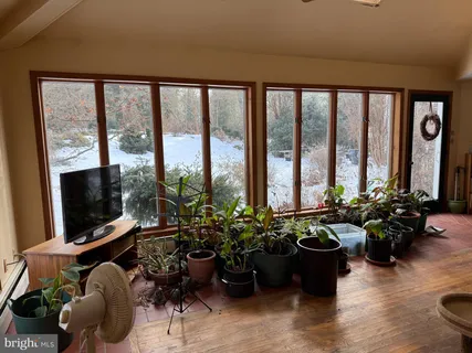 a living room with furniture potted plant and a large window