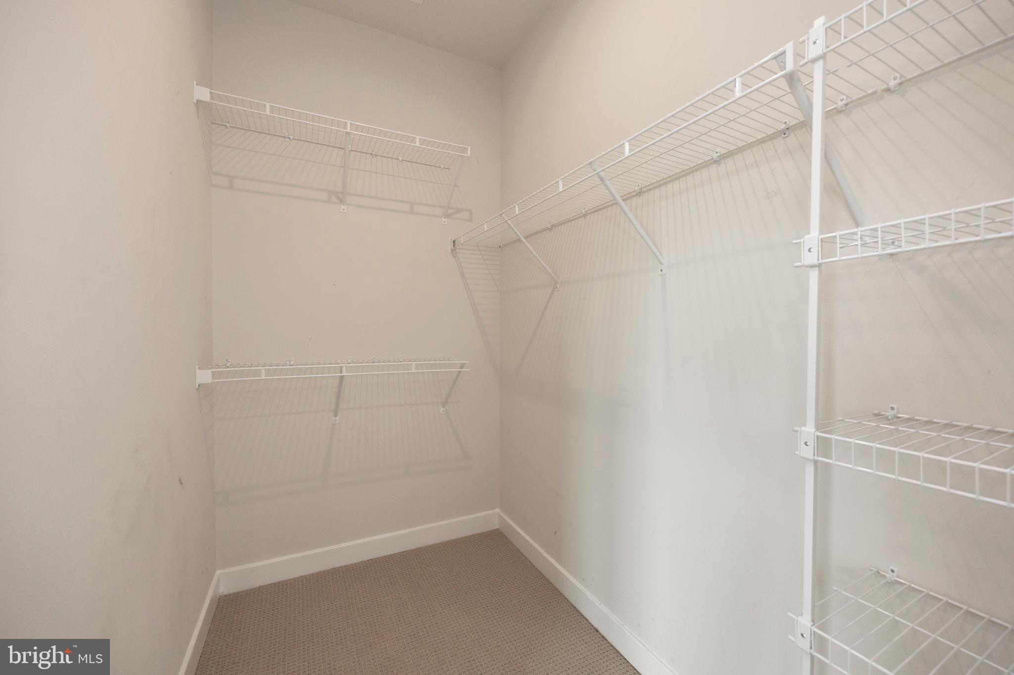 54 Glory Maple Lane Downingtown, PA 19335 - Photo 29 of 42