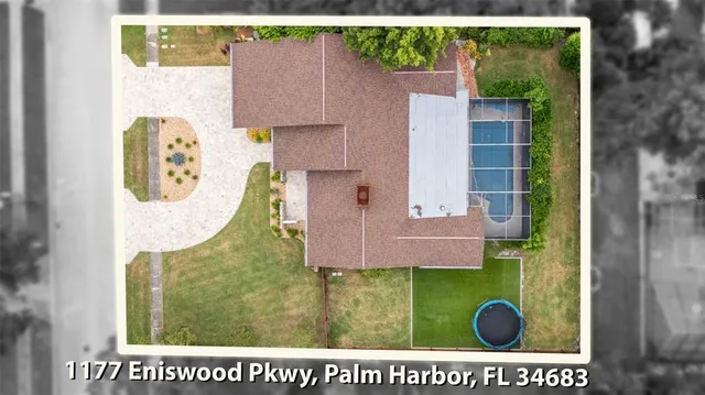 a view of a house with a small yard plants and a large tree