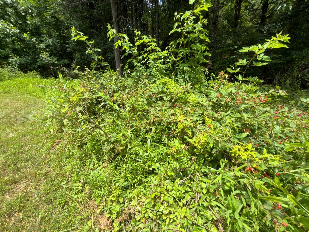 Tbd Tbd Little Vine Road Hillsville, VA 24343 - Photo 32 of 43 Gallery Image 32