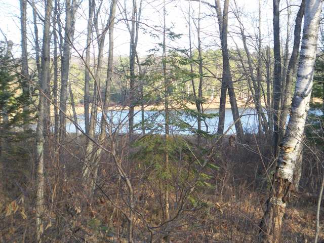 Near7480 Clear Lake Road Rhinelander, WI 54501 - Photo 1 of 4 Gallery Image 1