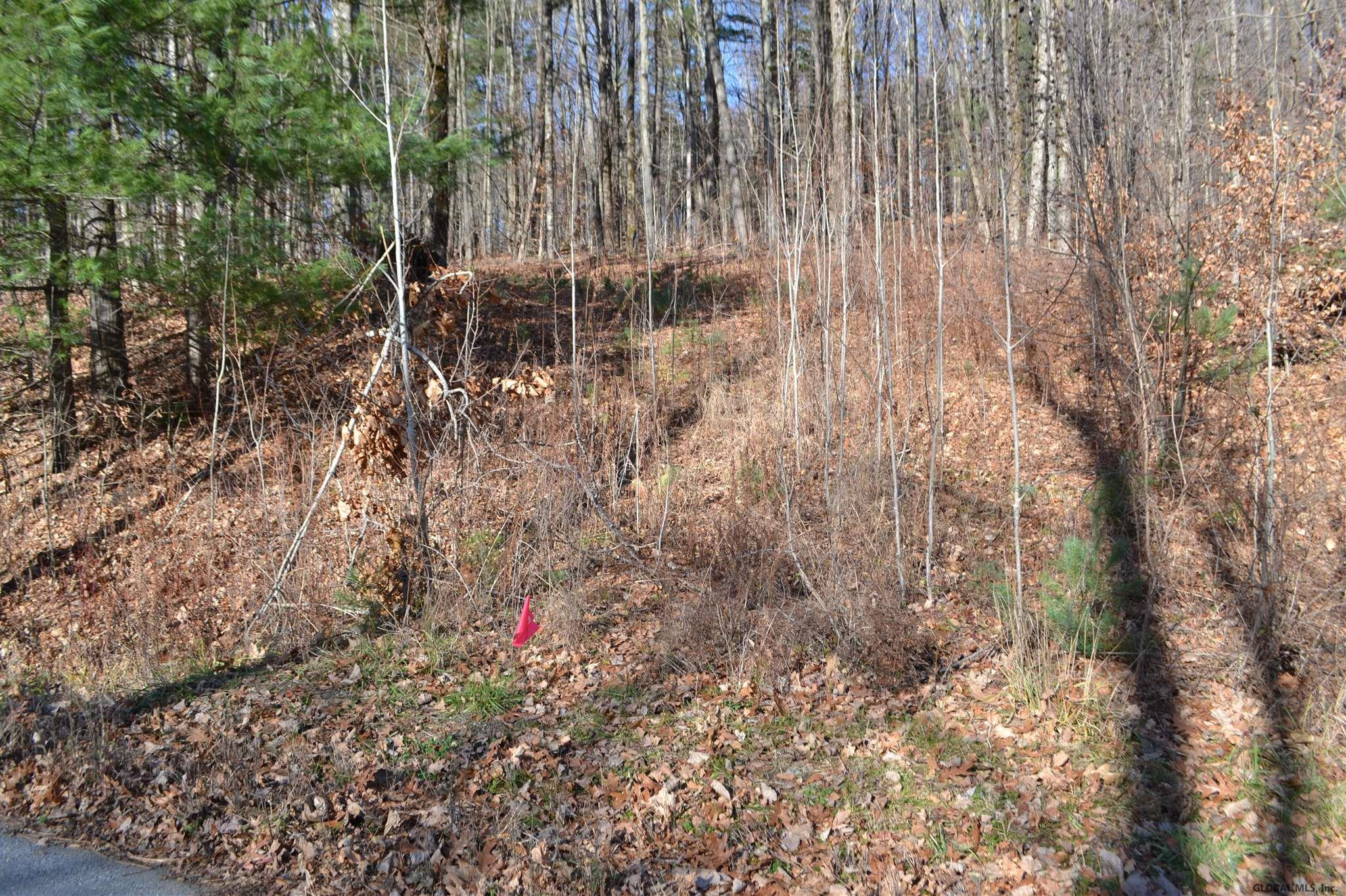 0 Summit Lake Road Argyle, NY 12809 - Photo 8 of 9 Photo 9
