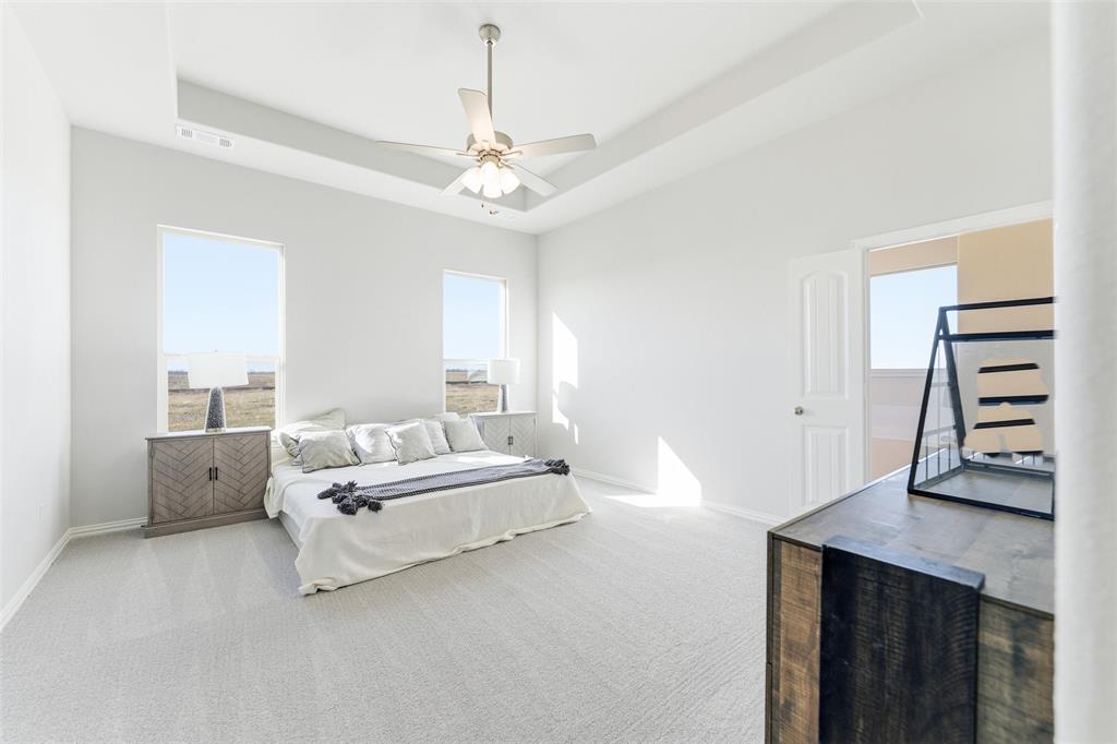 2050 County Road 200 Valley View, TX 76272 - Photo 17 of 31 Bedroom with a tray ceiling, carpet flooring, ceiling fan, and multiple windows