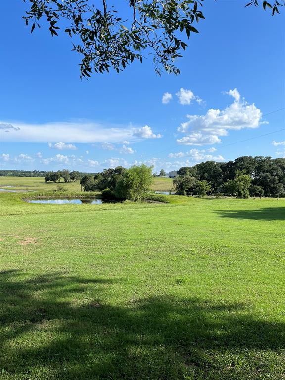 6303 Greenvine Road Burton, TX 77835 - Photo 20 of 25 Gallery Image 20