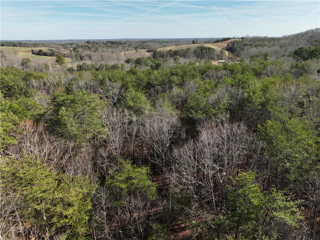 Tract B Old Unity Road Westminster, SC 29693 - Photo 10 of 12 Expansive forest views provide a serene natural setting.