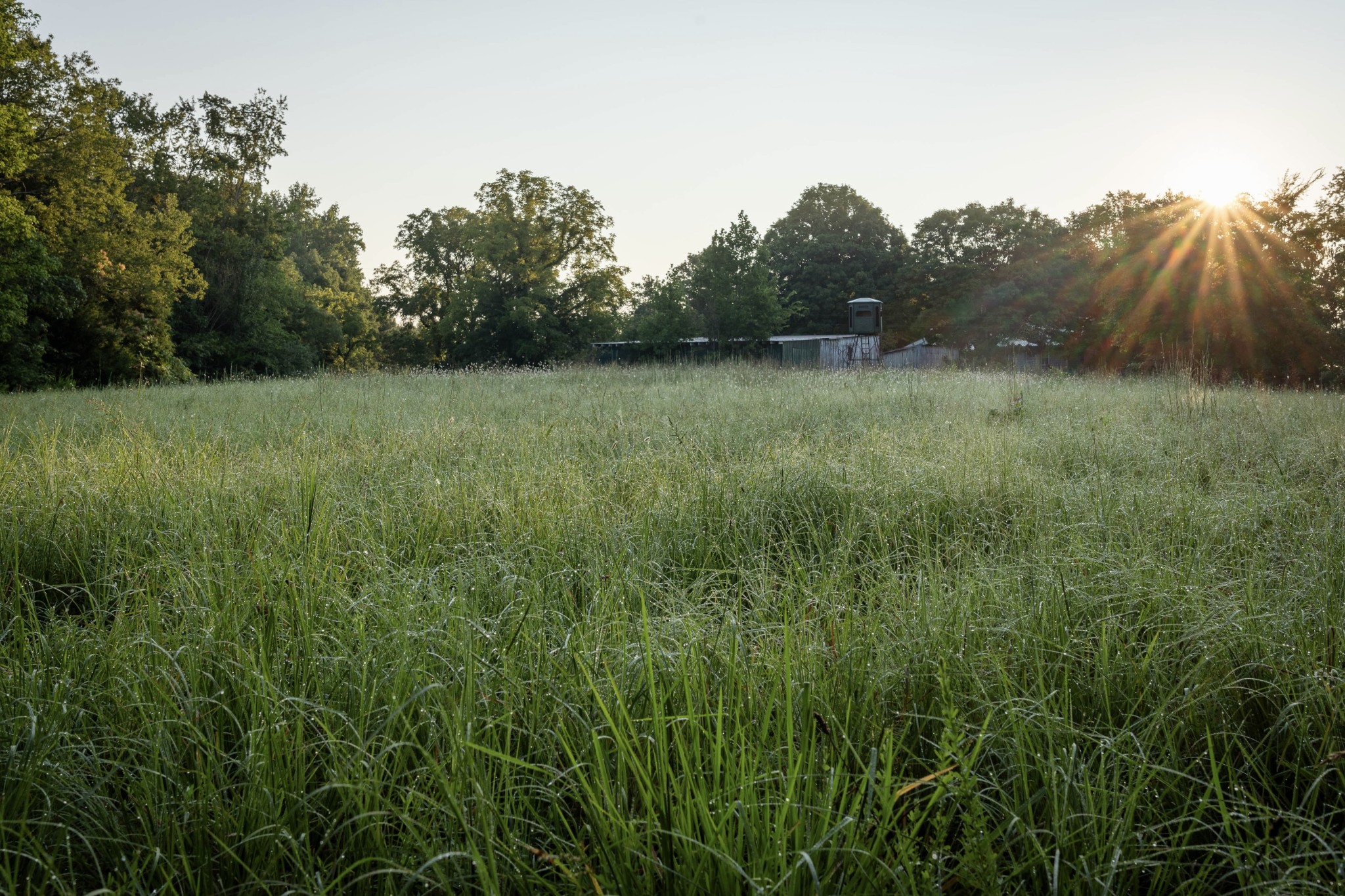 1125 Dawson Road White Bluff, TN 37187 - Photo 1 of 28 Gallery Image 1