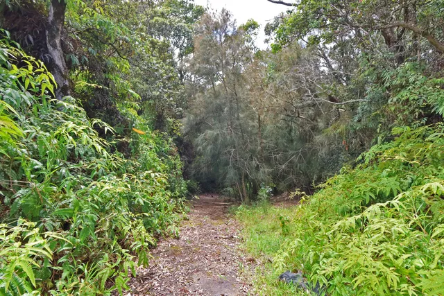 $405,000 | 13 Lot, Laupahoehoe, HI 96764