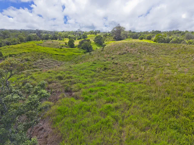 an aerial view of residential houses with city view