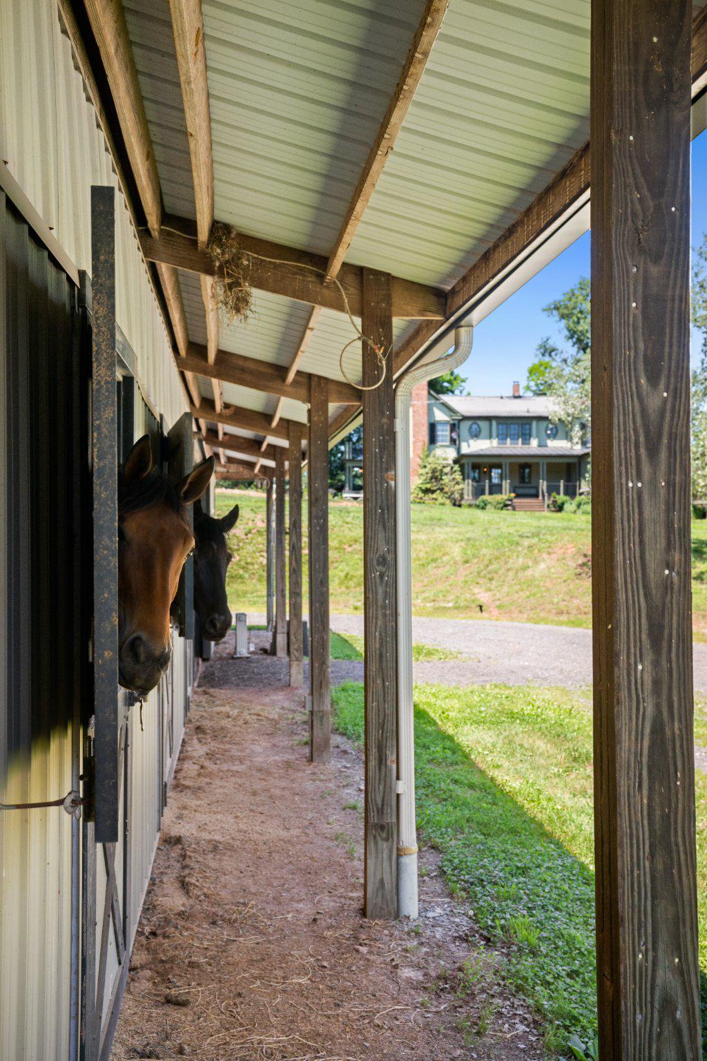 18101 Cattail Road Poolesville, MD 20837 - Photo 70 of 79 Well hello there!