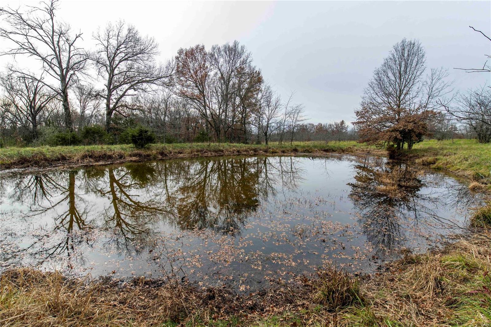 485 County Road 429 Rocheport, MO 65279 - Photo 36 of 98