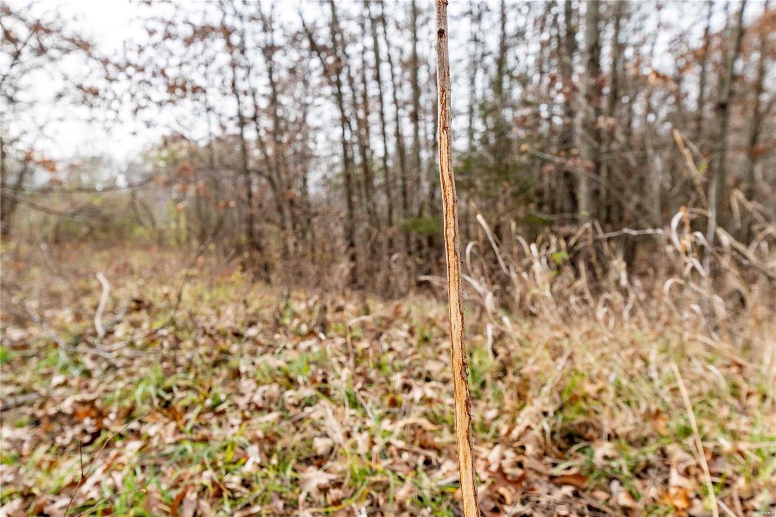 485 County Road 429 Rocheport, MO 65279 - Photo 44 of 98