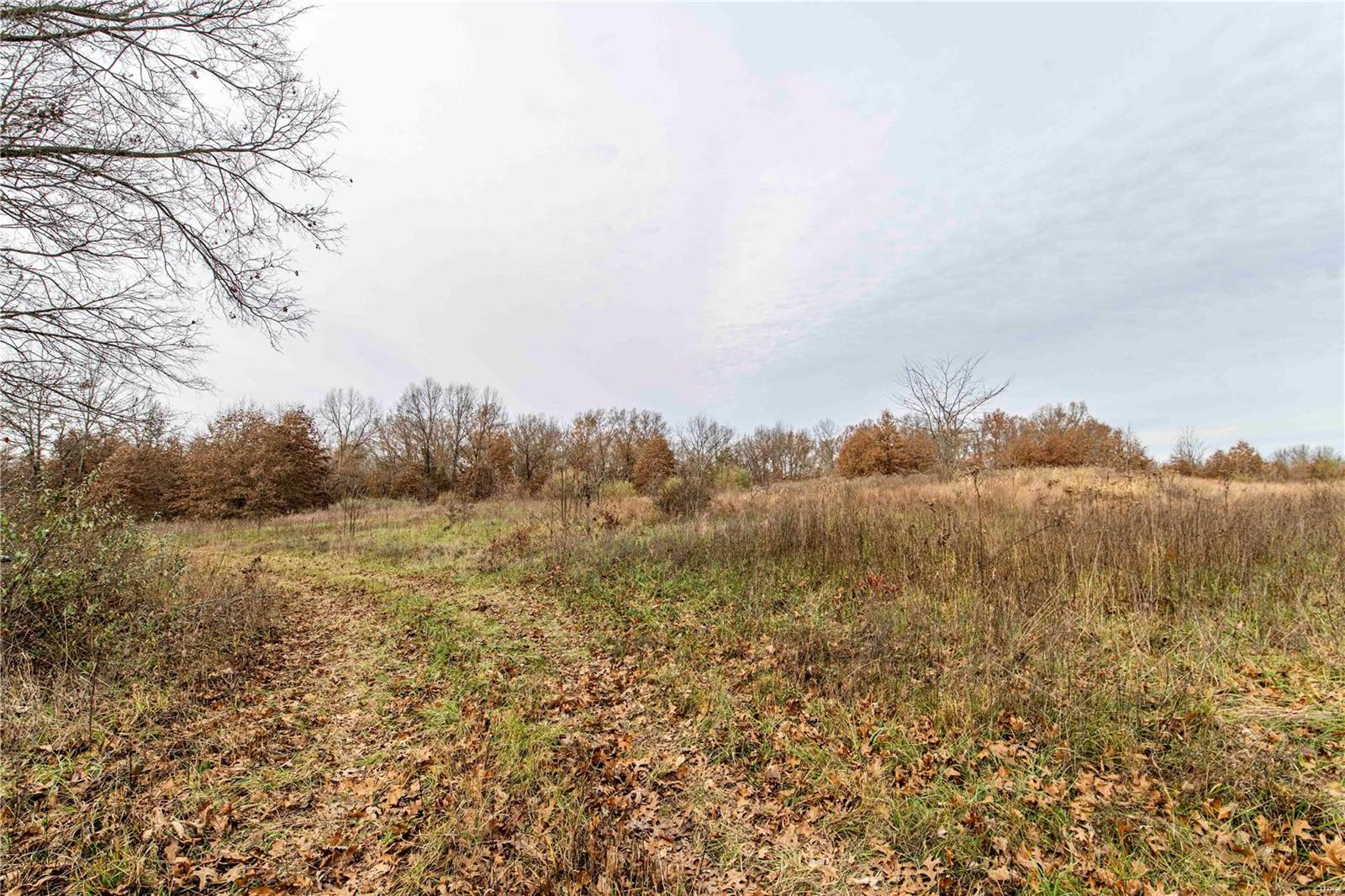 485 County Road 429 Rocheport, MO 65279 - Photo 48 of 98