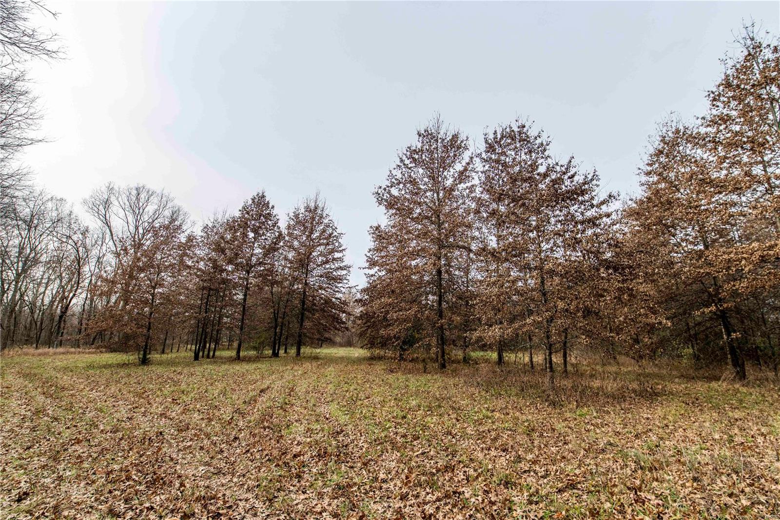 485 County Road 429 Rocheport, MO 65279 - Photo 49 of 98