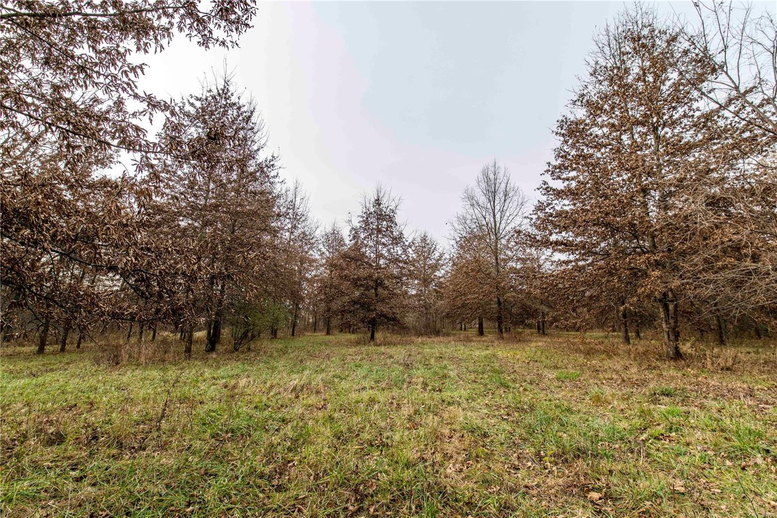 485 County Road 429 Rocheport, MO 65279 - Photo 50 of 98