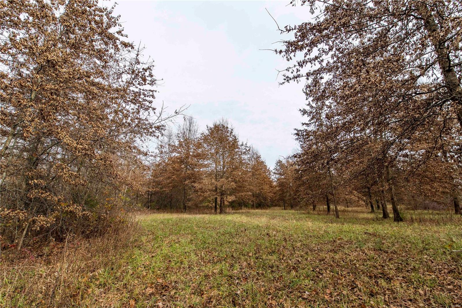 485 County Road 429 Rocheport, MO 65279 - Photo 51 of 98