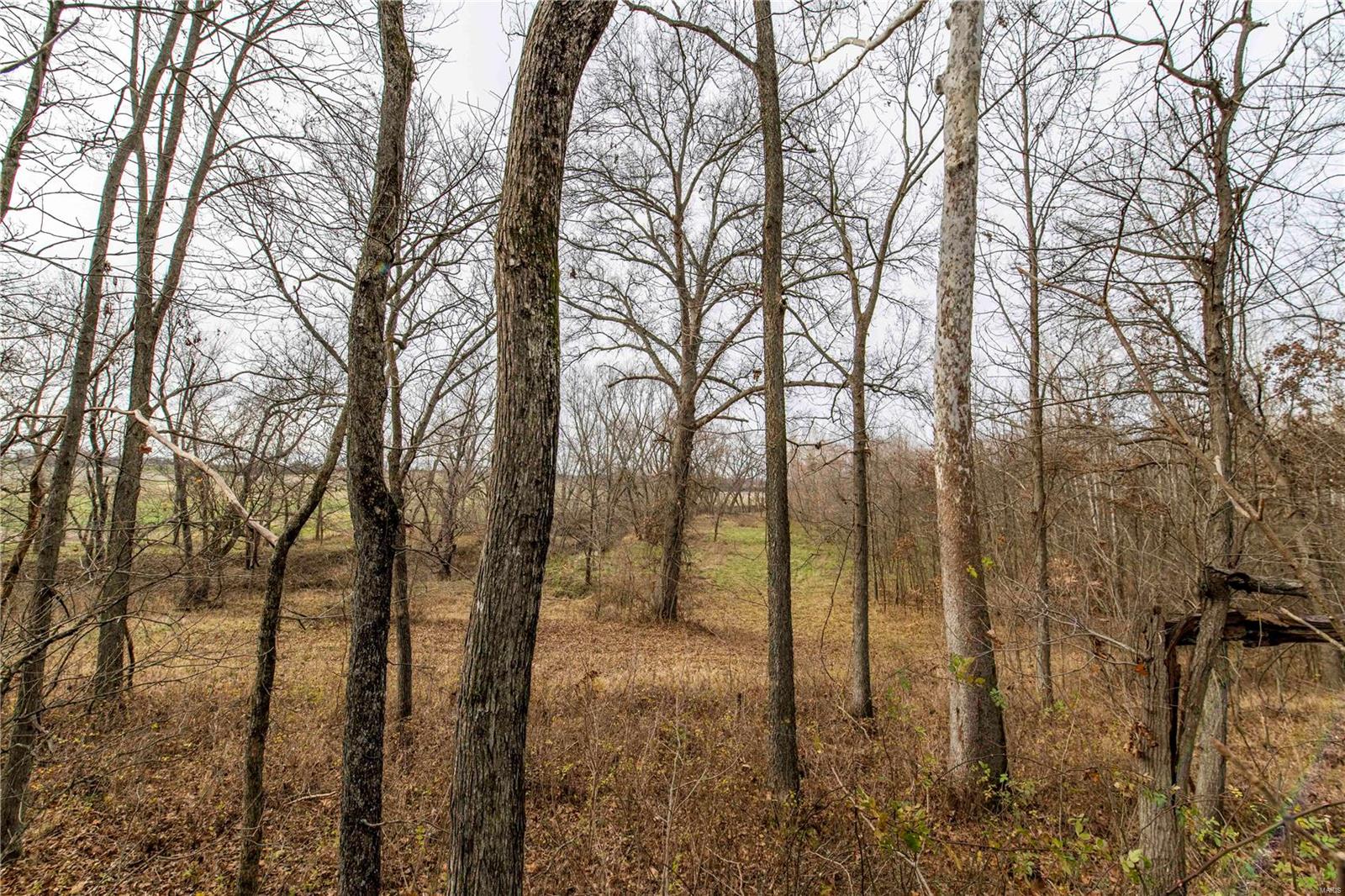 485 County Road 429 Rocheport, MO 65279 - Photo 52 of 98
