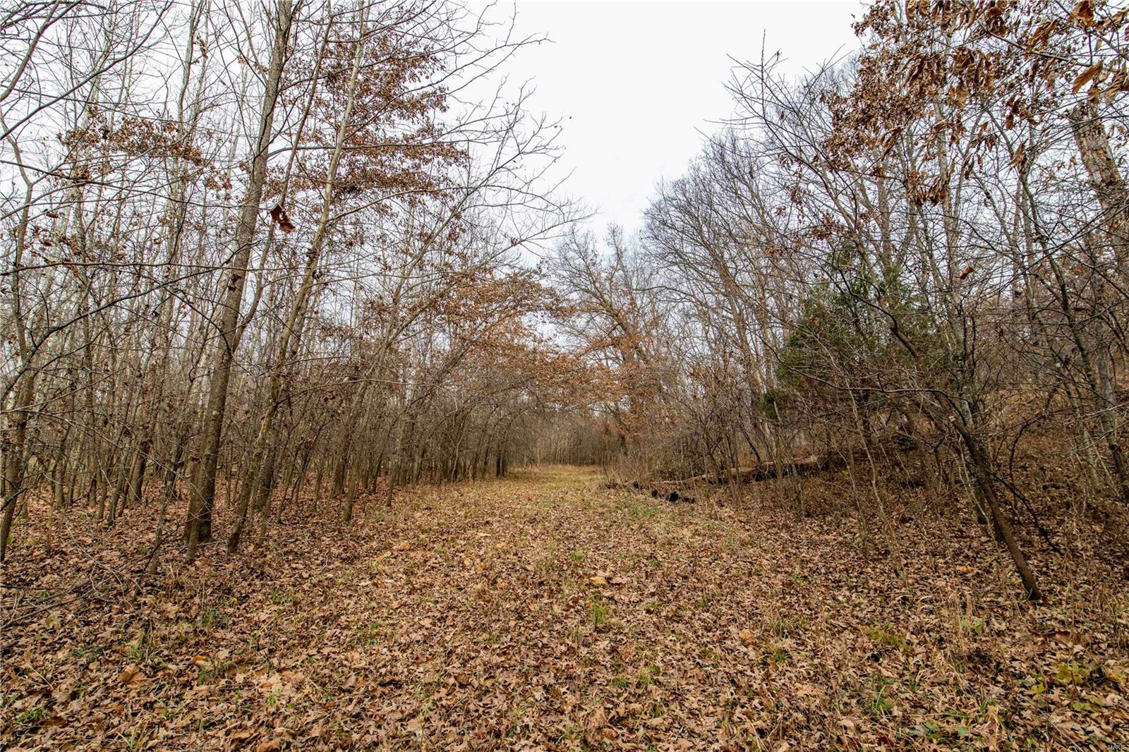 485 County Road 429 Rocheport, MO 65279 - Photo 59 of 98