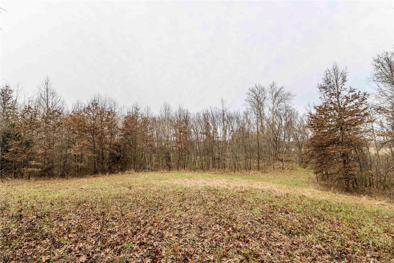 485 County Road 429 Rocheport, MO 65279 - Photo 69 of 98