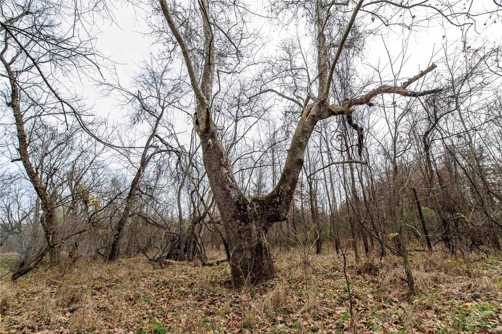 485 County Road 429 Rocheport, MO 65279 - Photo 72 of 98
