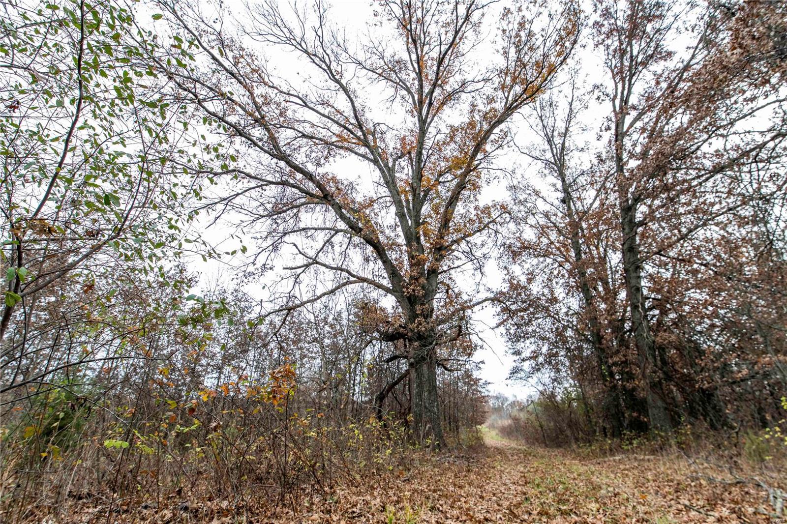 485 County Road 429 Rocheport, MO 65279 - Photo 75 of 98
