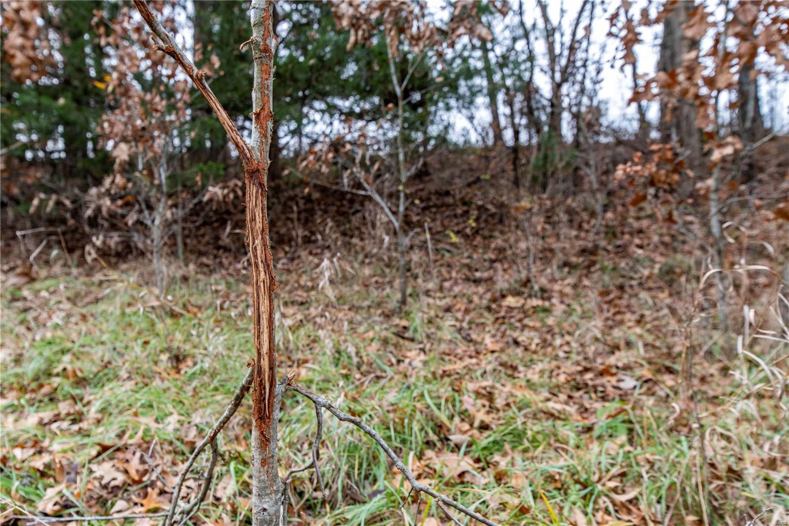 485 County Road 429 Rocheport, MO 65279 - Photo 76 of 98
