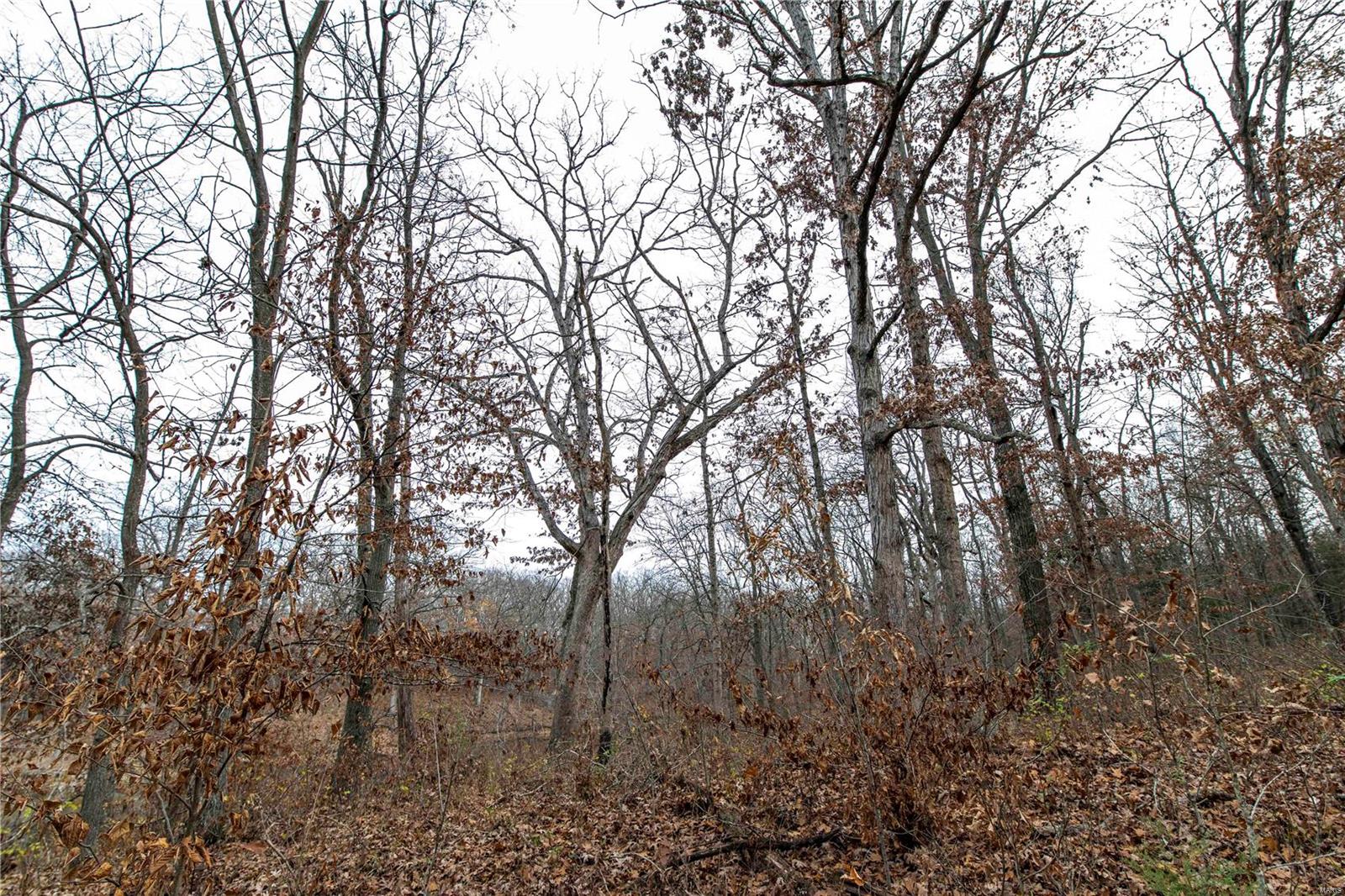 485 County Road 429 Rocheport, MO 65279 - Photo 82 of 98