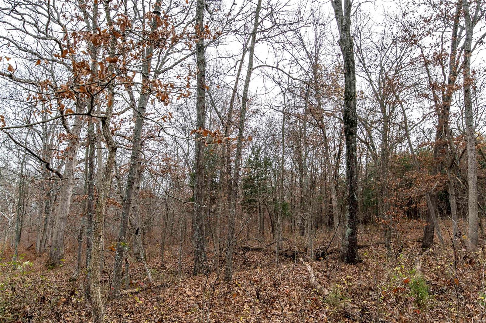 485 County Road 429 Rocheport, MO 65279 - Photo 83 of 98