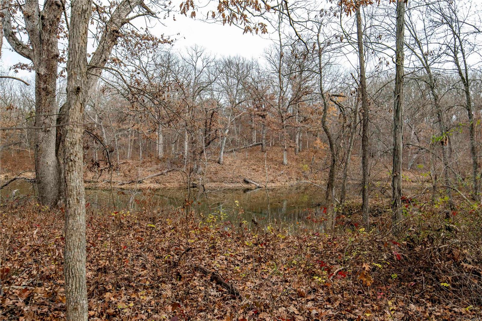 485 County Road 429 Rocheport, MO 65279 - Photo 84 of 98