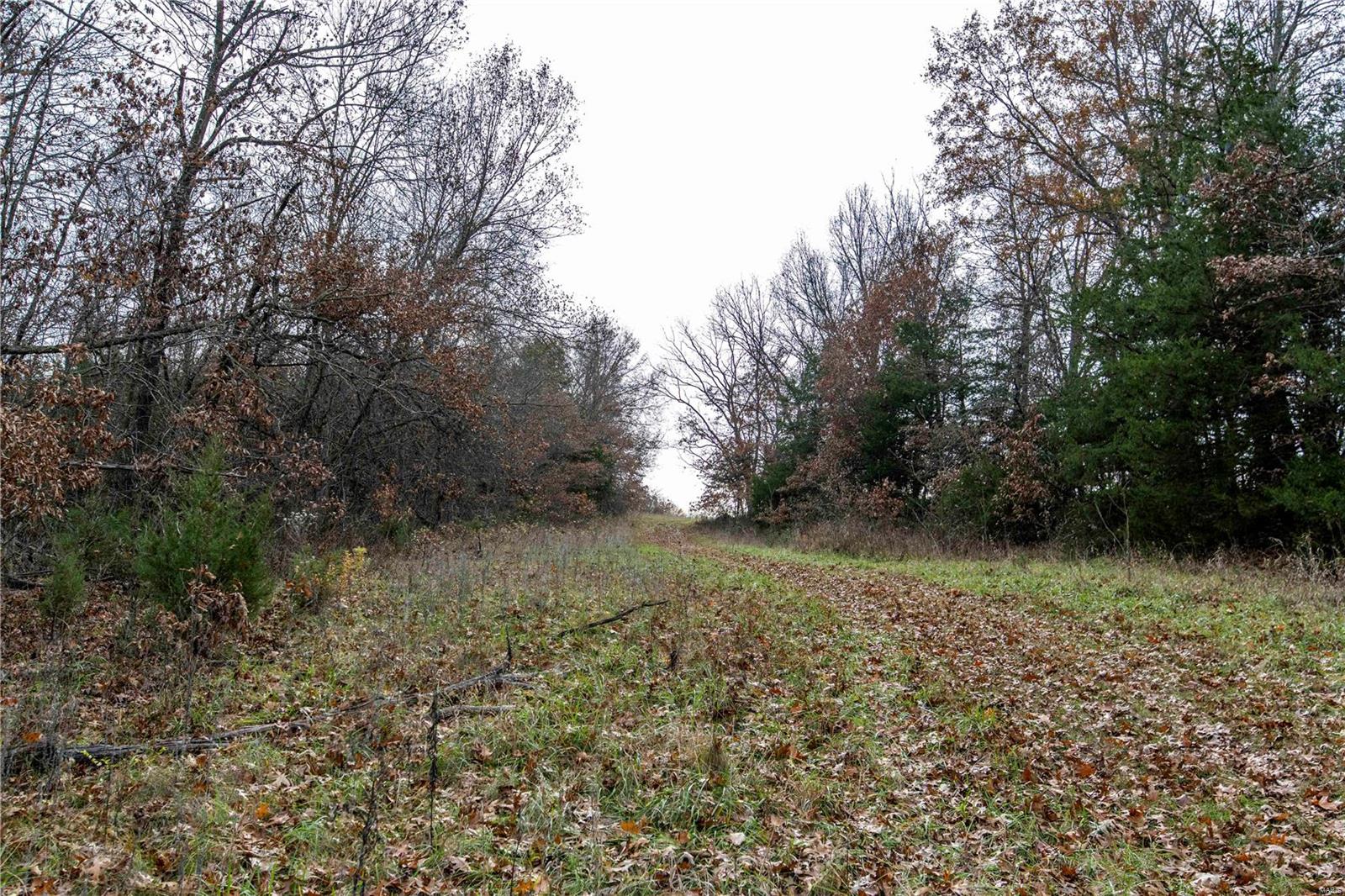 485 County Road 429 Rocheport, MO 65279 - Photo 85 of 98
