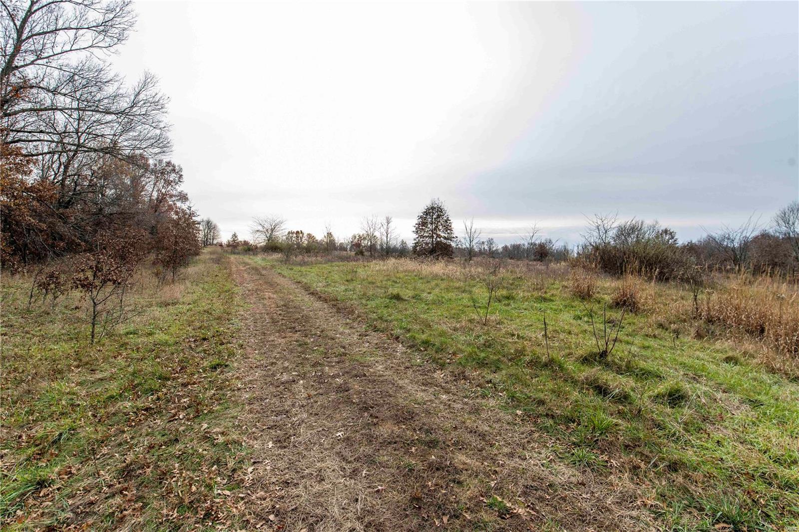 485 County Road 429 Rocheport, MO 65279 - Photo 93 of 98
