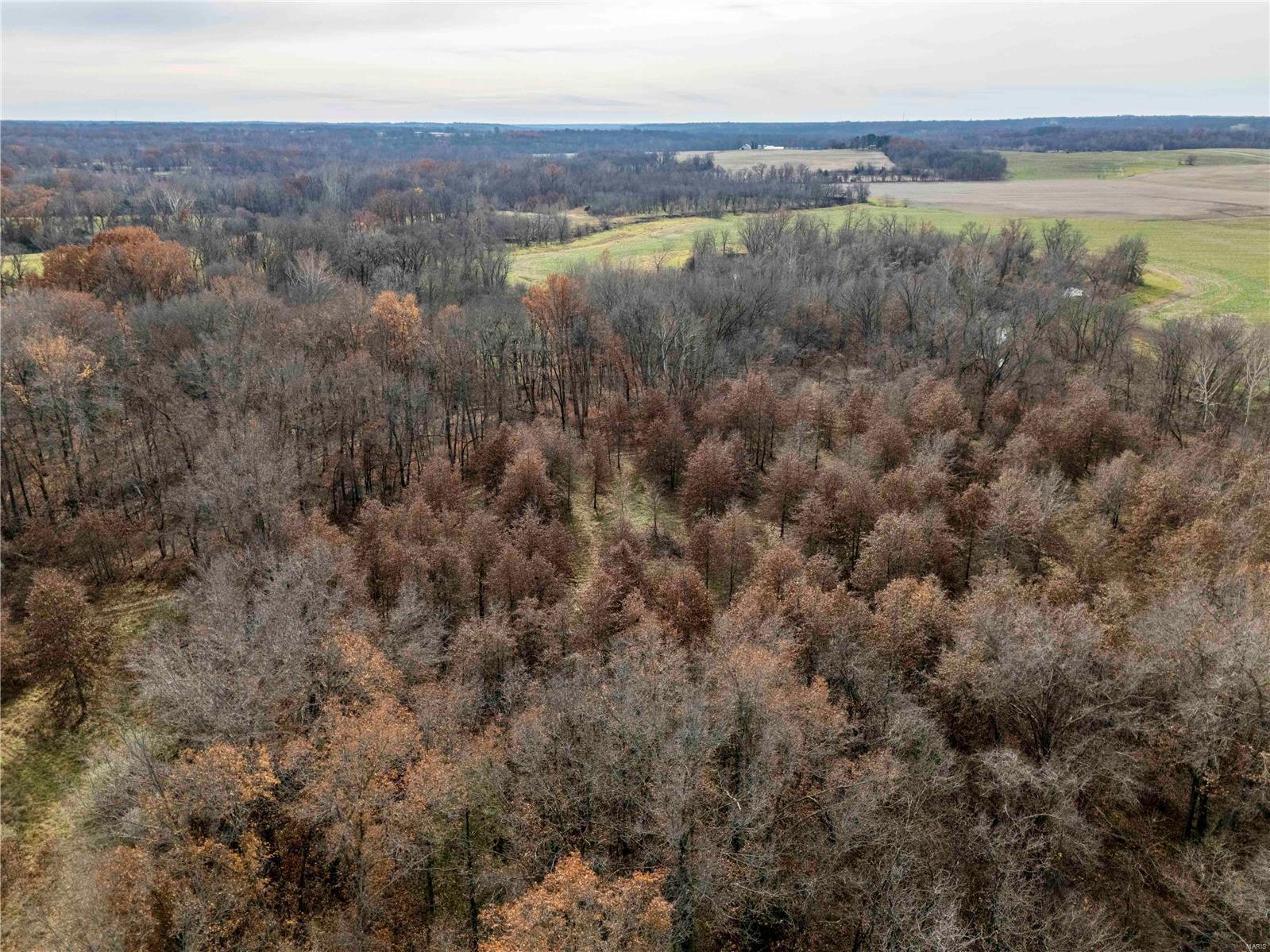 485 County Road 429 Rocheport, MO 65279 - Photo 94 of 98