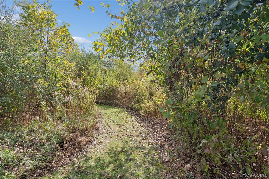 49765 Martz Road Belleville, MI 48111 - Photo 65 of 81 Gallery Image 65