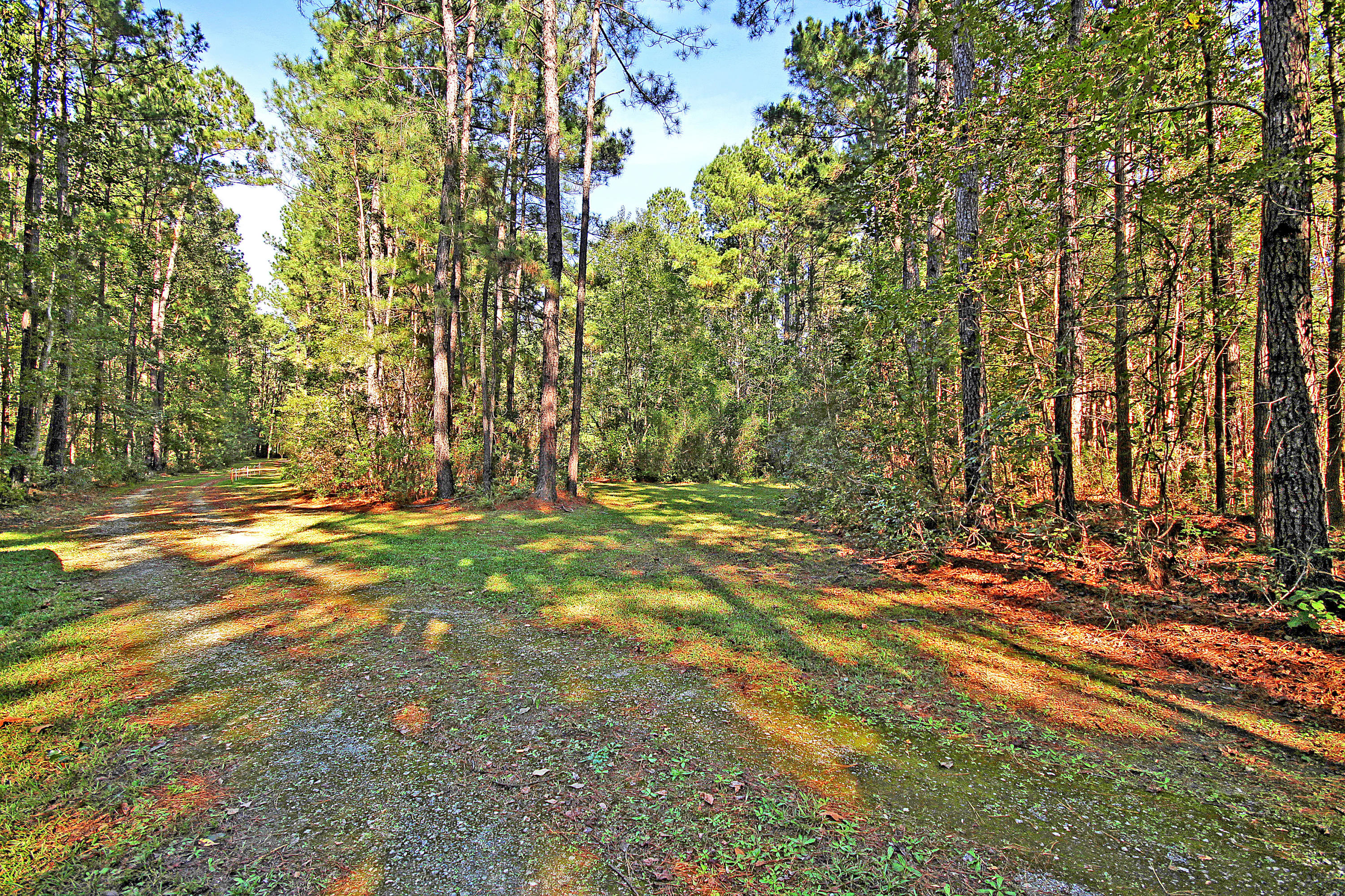 725 Lonesome Lane Ridgeville, SC 29472 - Photo 7 of 36 IMG_5920 copy