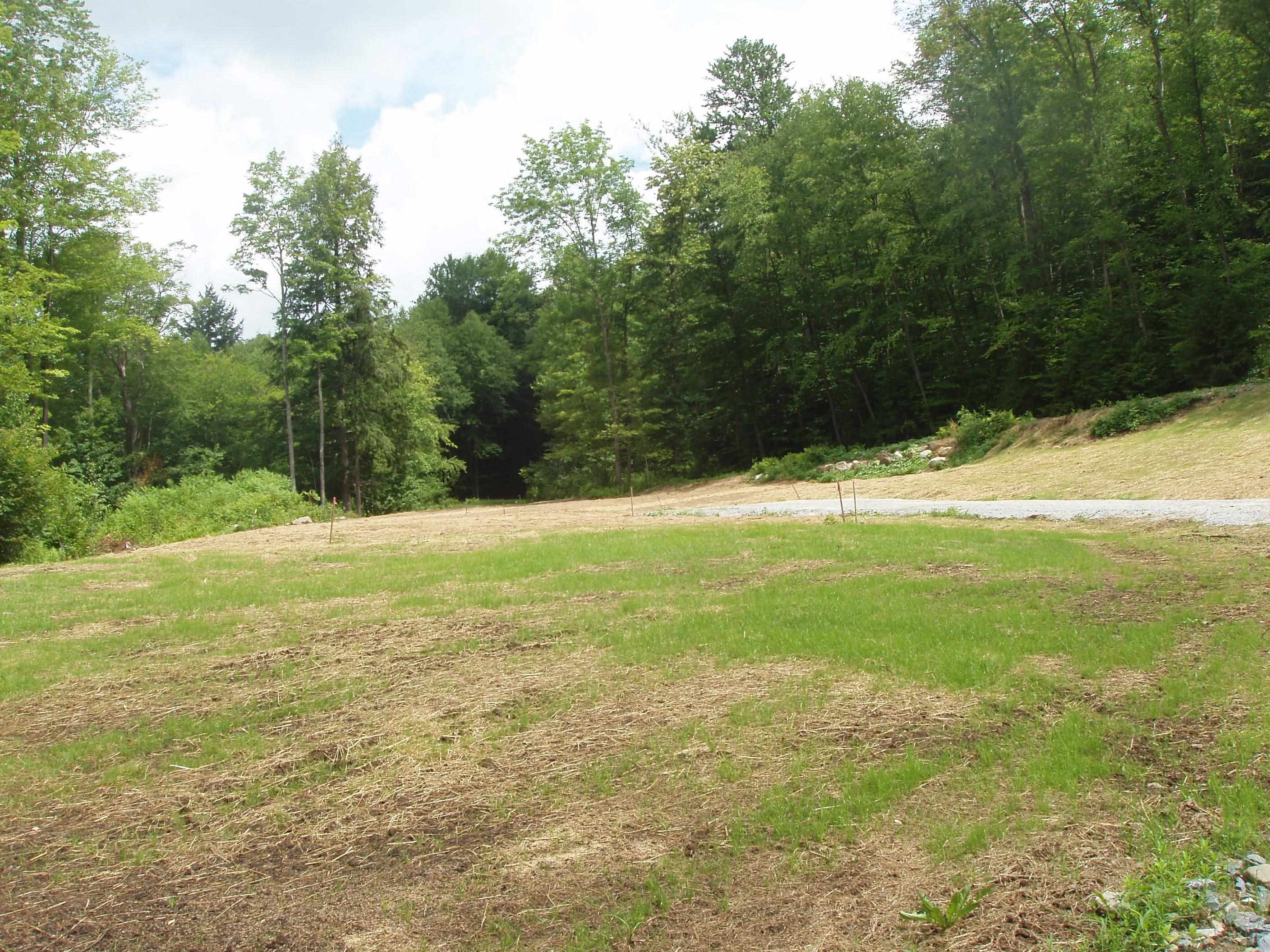 0 Finbar's Forest Road, Unit 7 Manchester Center, VT 05255 - Photo 11 of 26