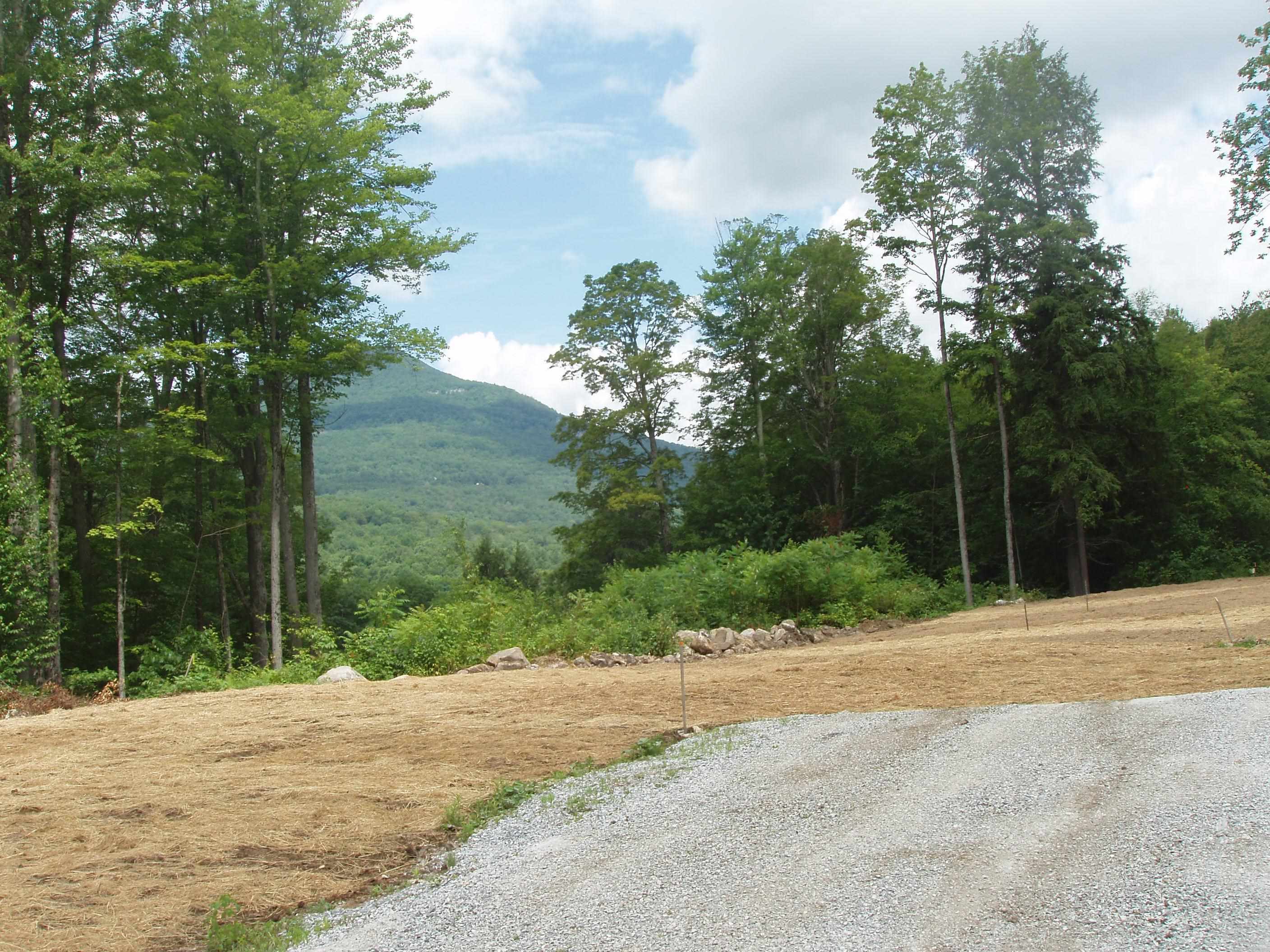 0 Finbar's Forest Road, Unit 7 Manchester Center, VT 05255 - Photo 15 of 26