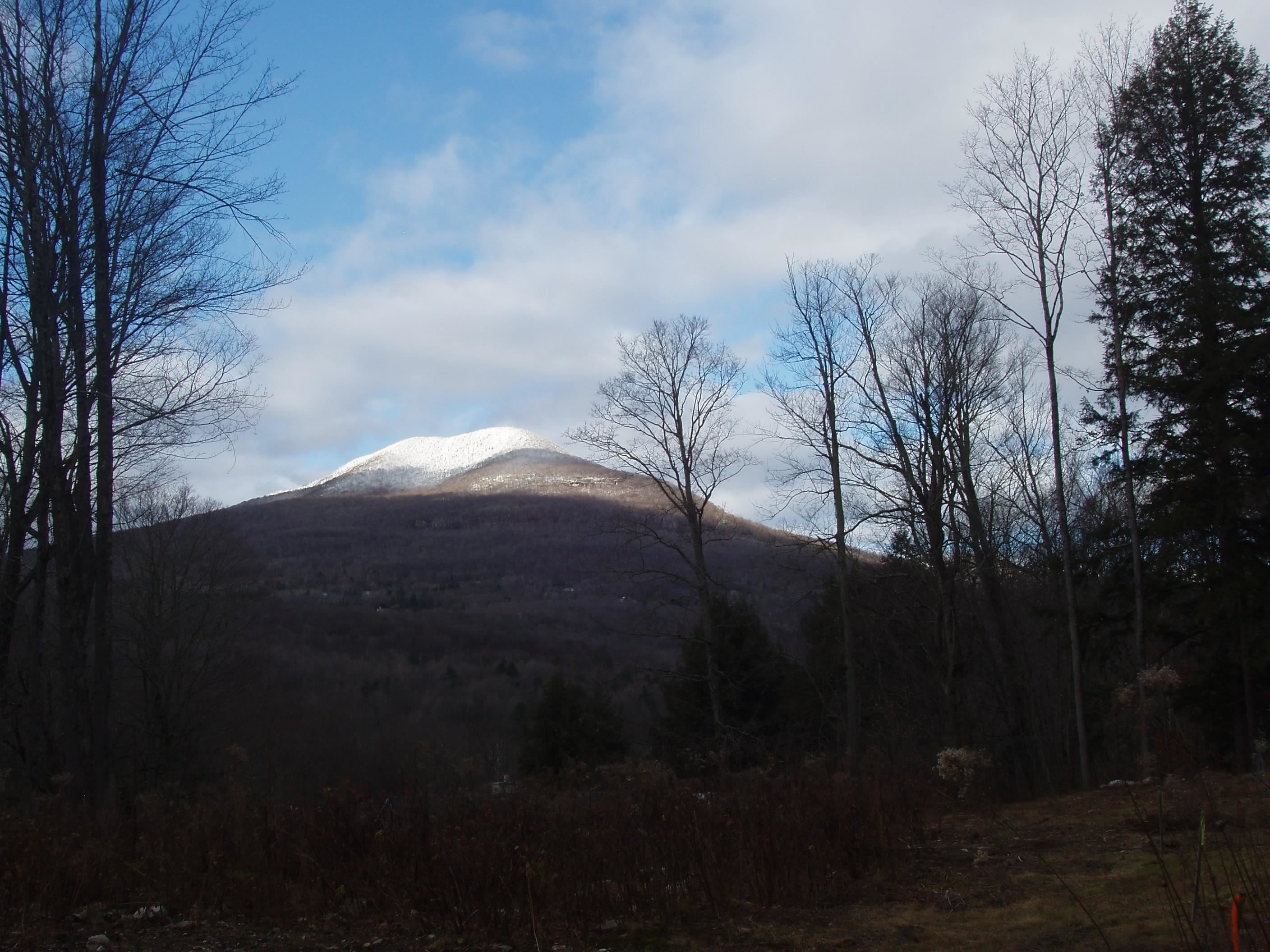 0 Finbar's Forest Road, Unit 7 Manchester Center, VT 05255 - Photo 18 of 26