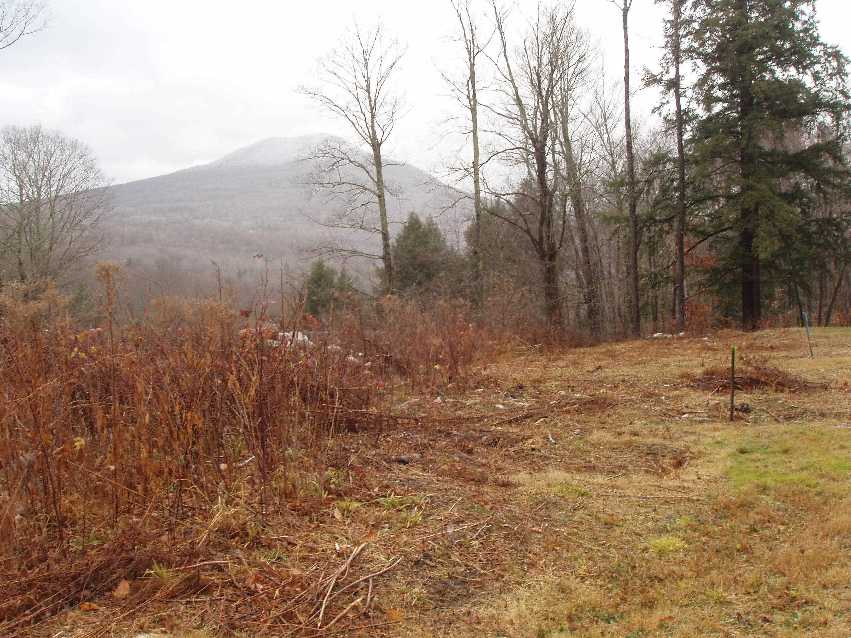 0 Finbar's Forest Road, Unit 7 Manchester Center, VT 05255 - Photo 19 of 26