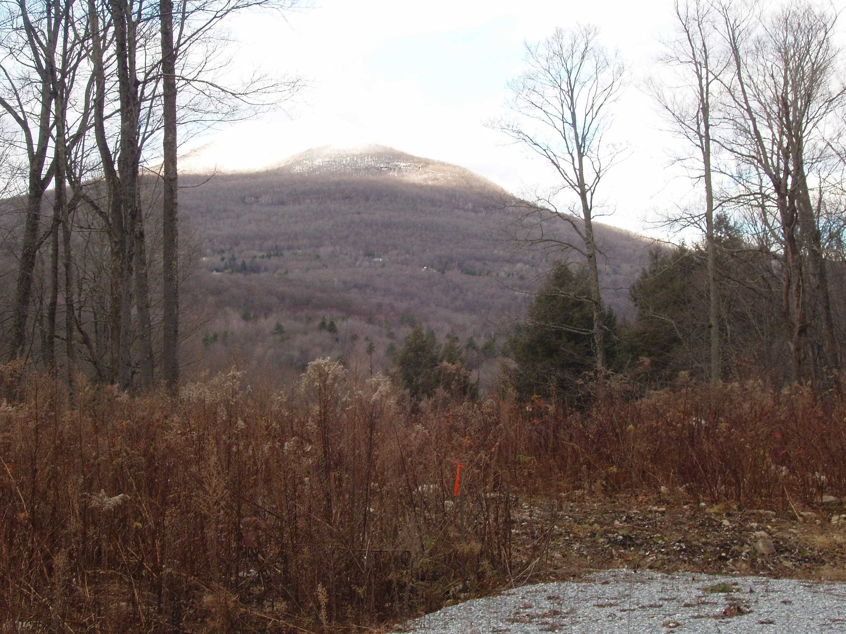 0 Finbar's Forest Road, Unit 7 Manchester Center, VT 05255 - Photo 2 of 26