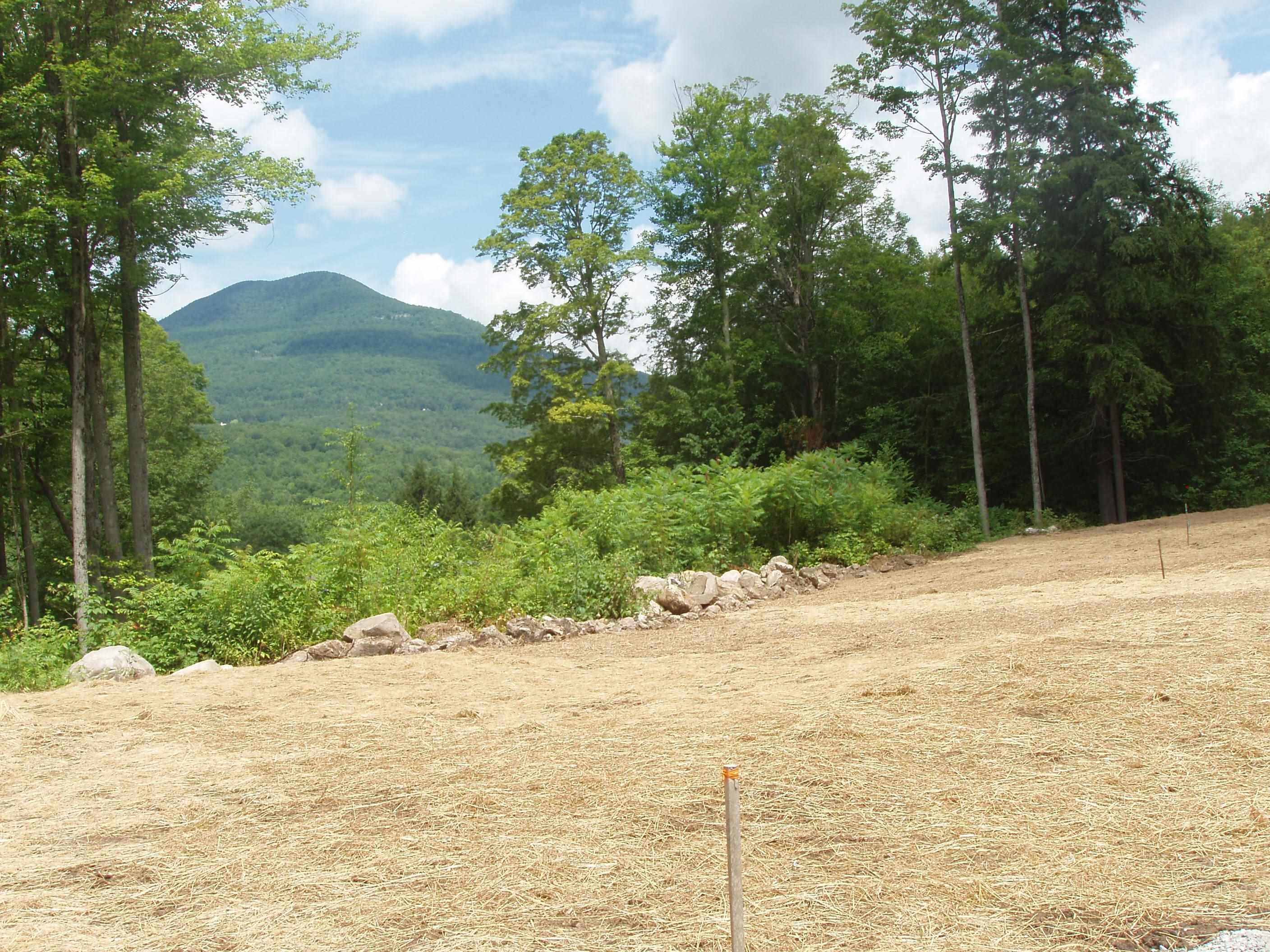 0 Finbar's Forest Road, Unit 7 Manchester Center, VT 05255 - Photo 7 of 26
