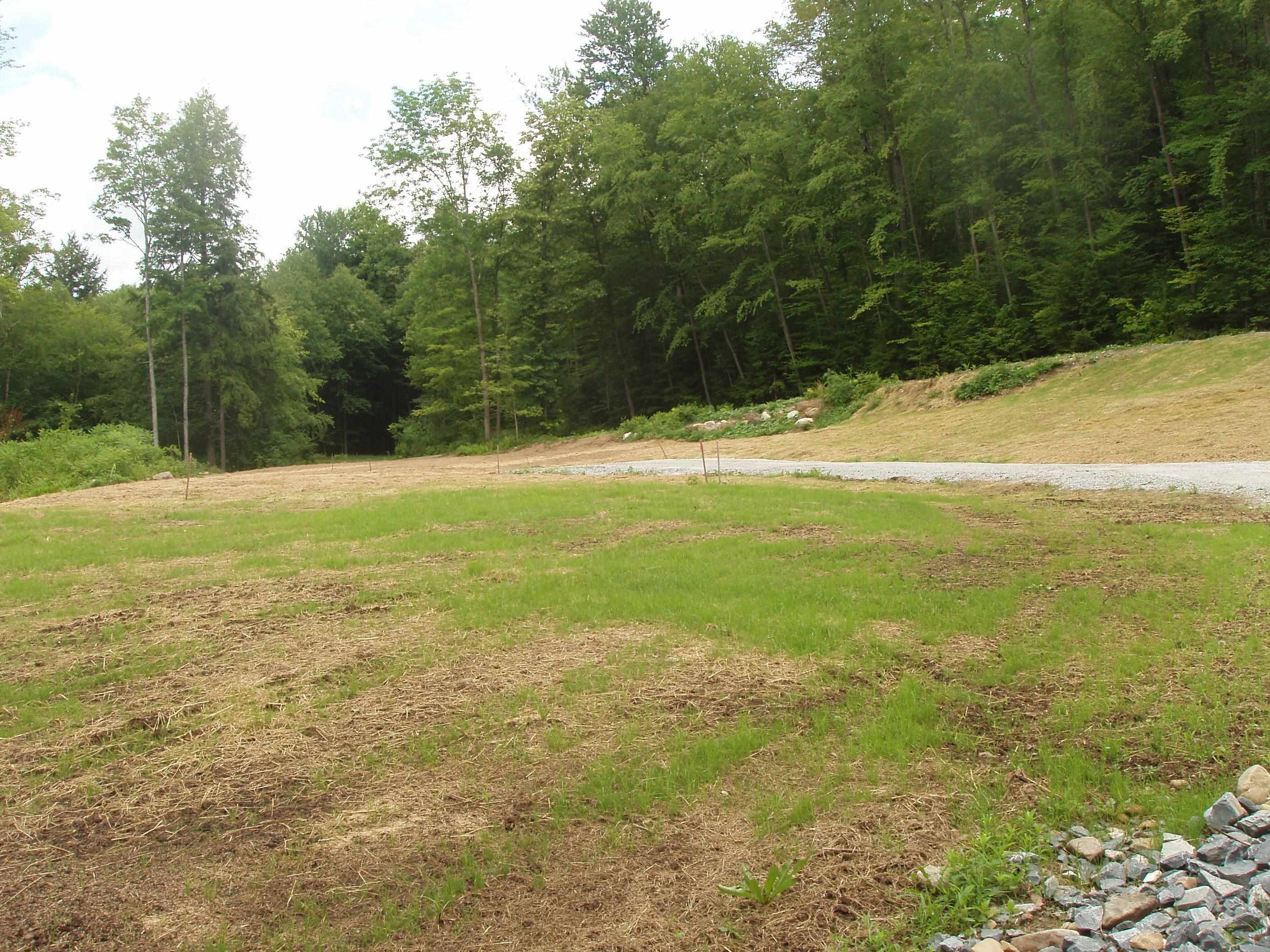 0 Finbar's Forest Road, Unit 7 Manchester Center, VT 05255 - Photo 10 of 26
