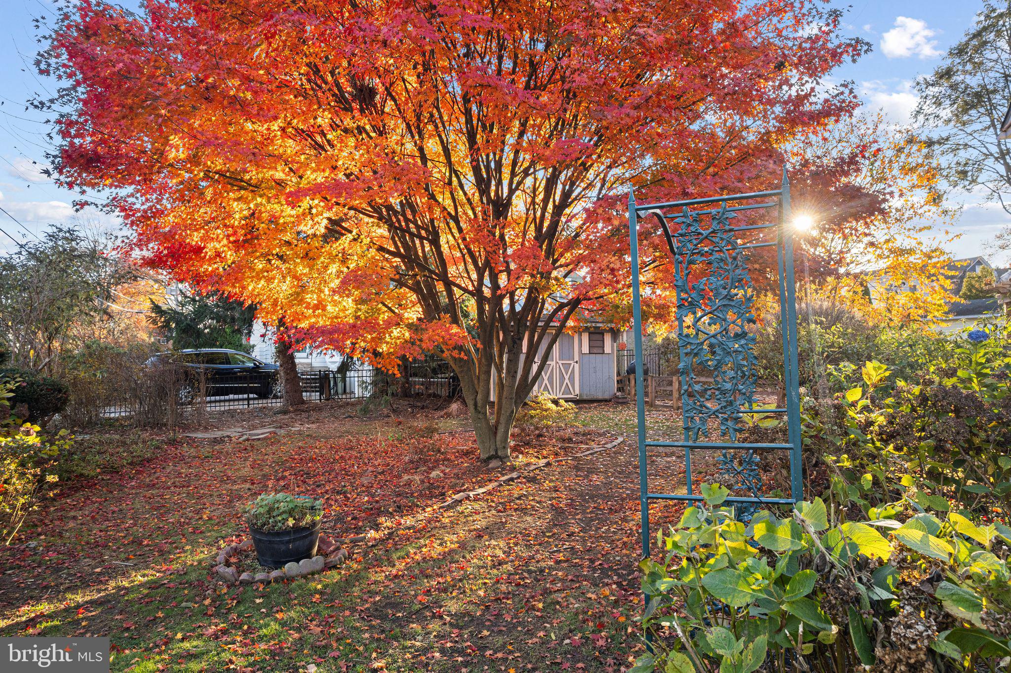 400 Graisbury Avenue Haddonfield, NJ 08033 - Photo 24 of 27 Side yard/fully fenced