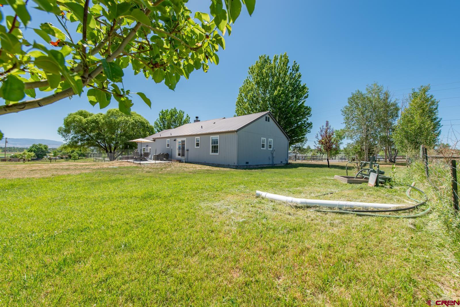 59959 Spring Creek Road Montrose, CO 81403 - Photo 8 of 42