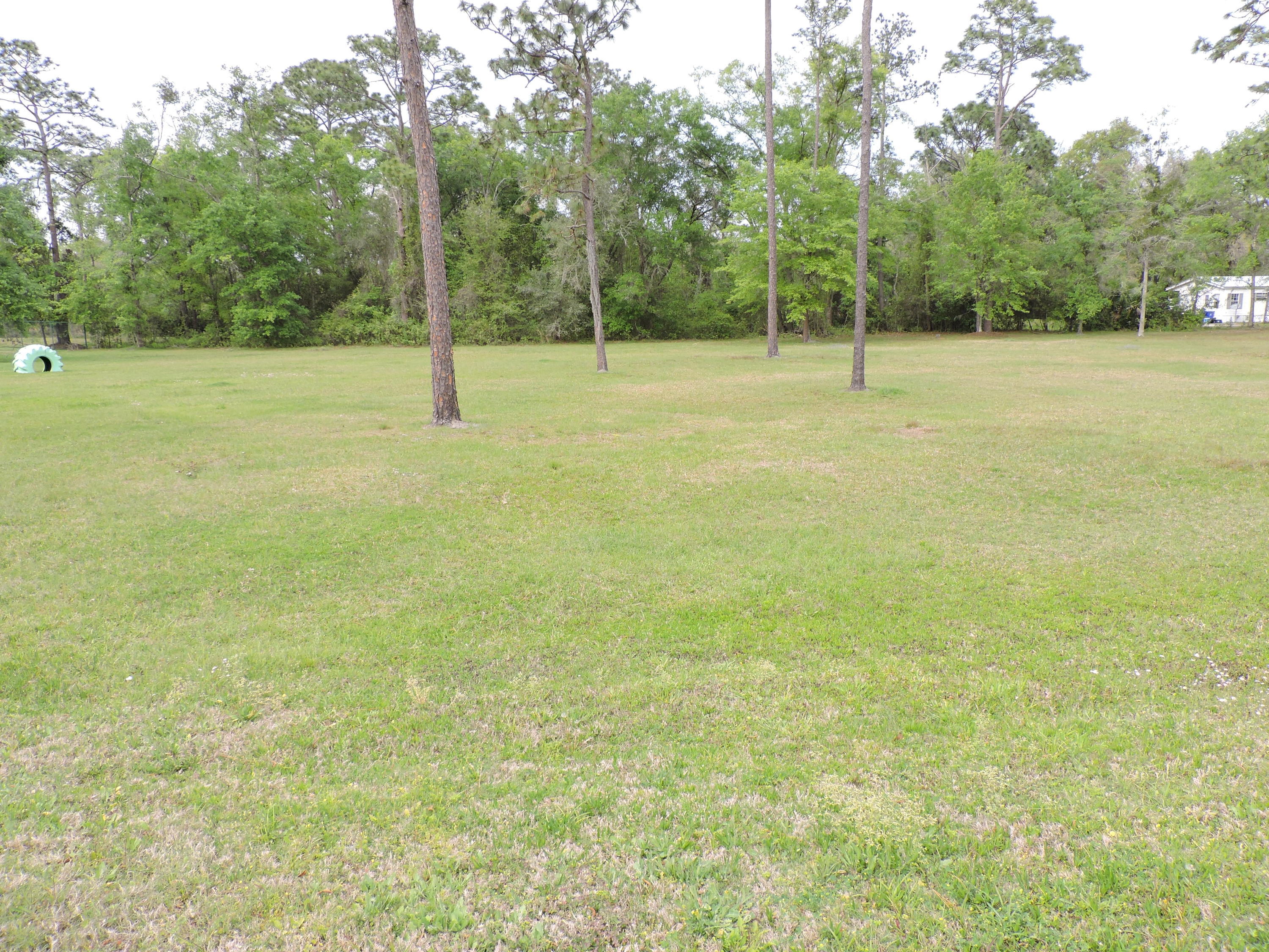 3655 Pacetti Road St. Augustine, FL 32092 - Photo 5 of 16 Vacant Commercial Land Looking East