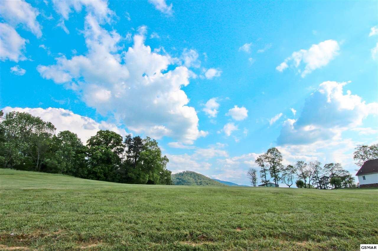 143 Tranquility Ridge Drive Newport, TN 37821 - Photo 2 of 20 Gallery Image 2