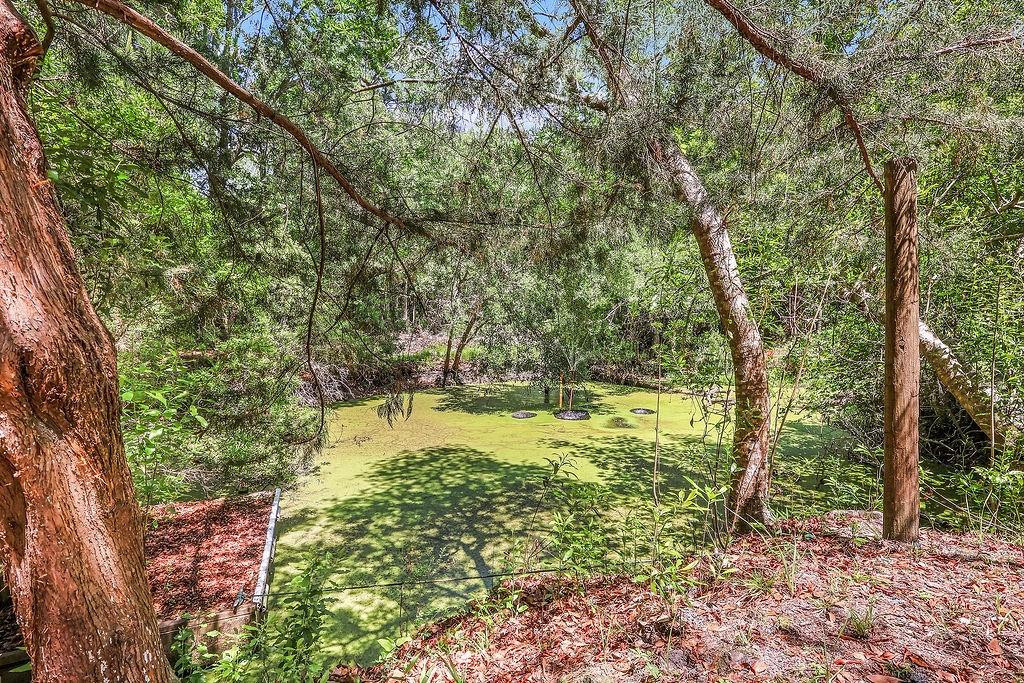 2353 Harris Neck Road Townsend, GA 31331 - Photo 40 of 50 Photo 40