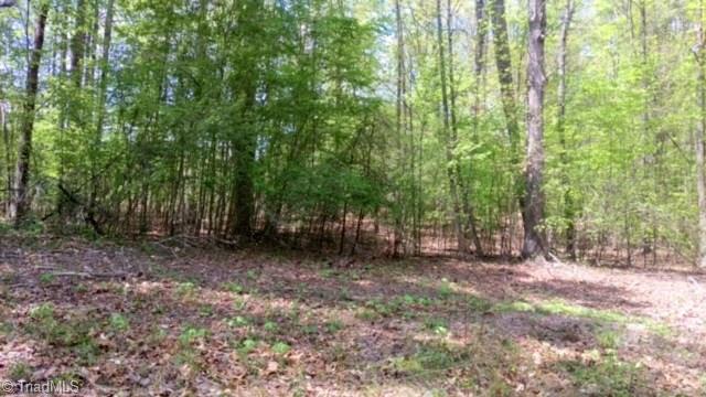 0 Spring Garden Road Reidsville, NC 27320 - Photo 1 of 5 Gallery Image 1