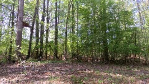 0 Spring Garden Road Reidsville, NC 27320 - Photo 2 of 5 Gallery Image 2