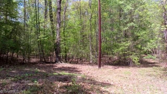 0 Spring Garden Road Reidsville, NC 27320 - Photo 5 of 5 Gallery Image 5