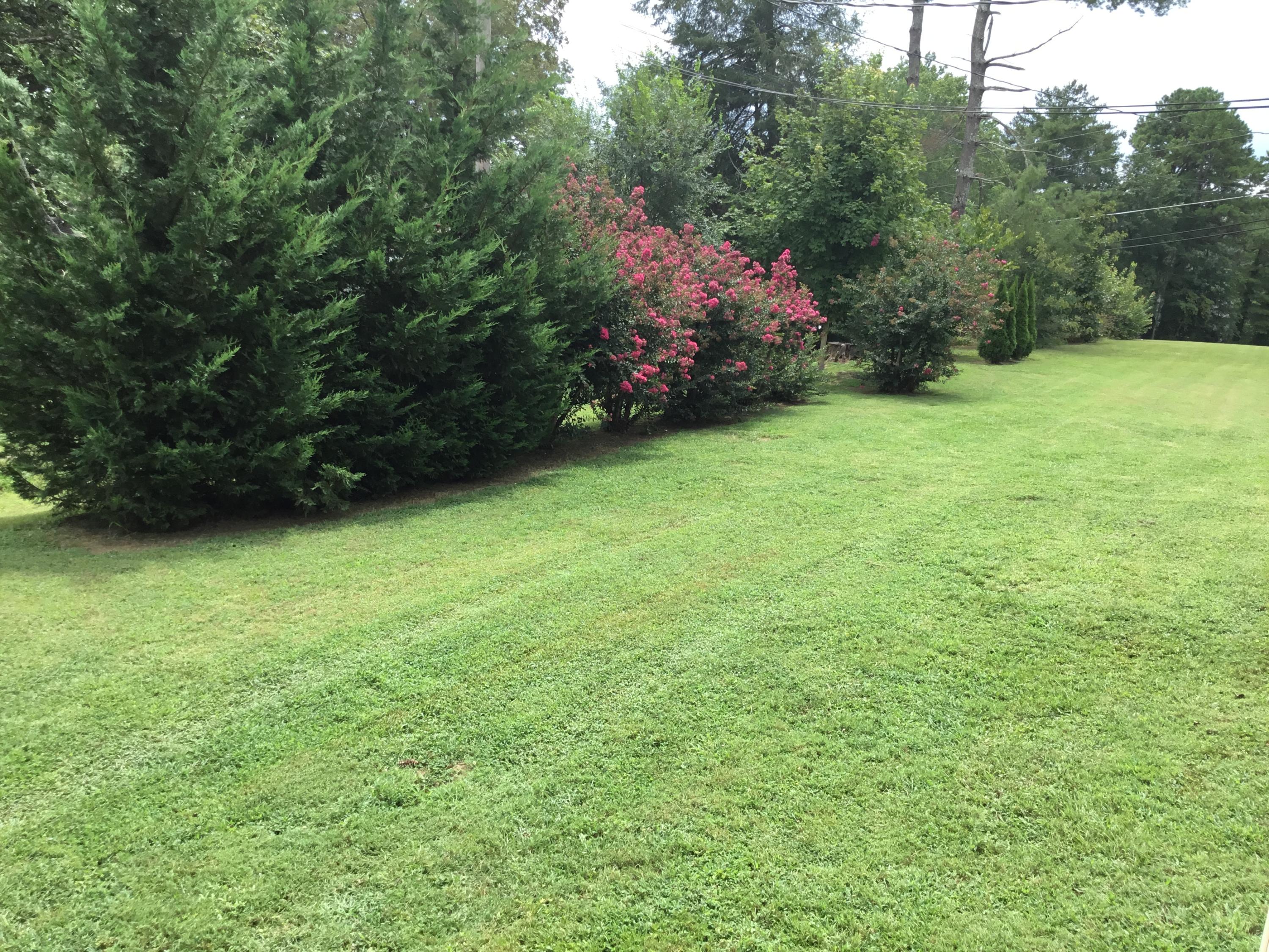 1166 Grand Center Road Chickamauga, GA 30707 - Photo 41 of 53 Back Yard